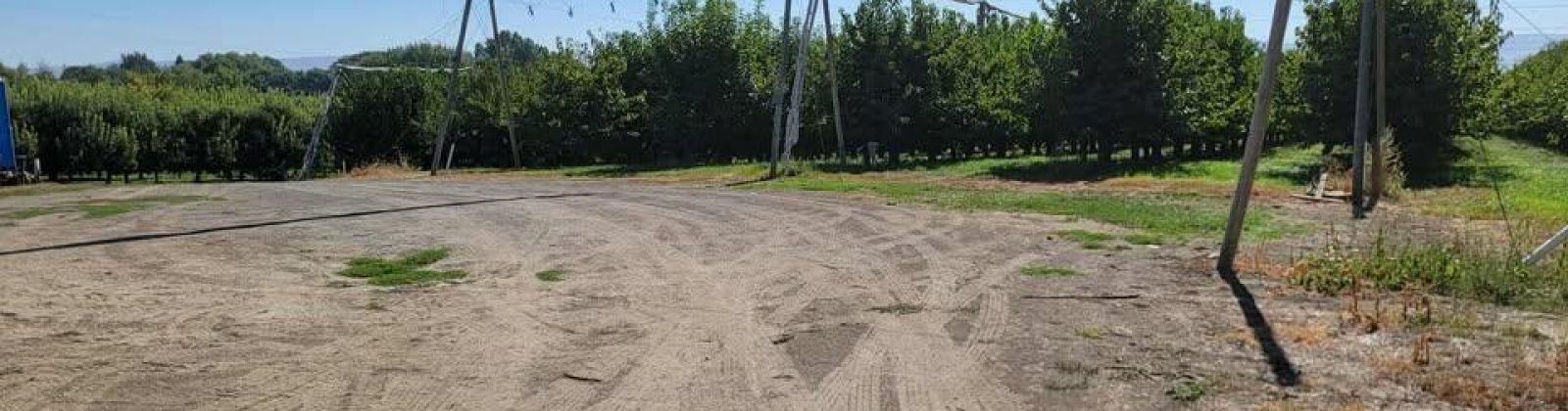 Belma Rd, Grandview, Washington 98930, 0 , 0 ,0,Agricultural Land,For Sale,Belma Rd,0,287576