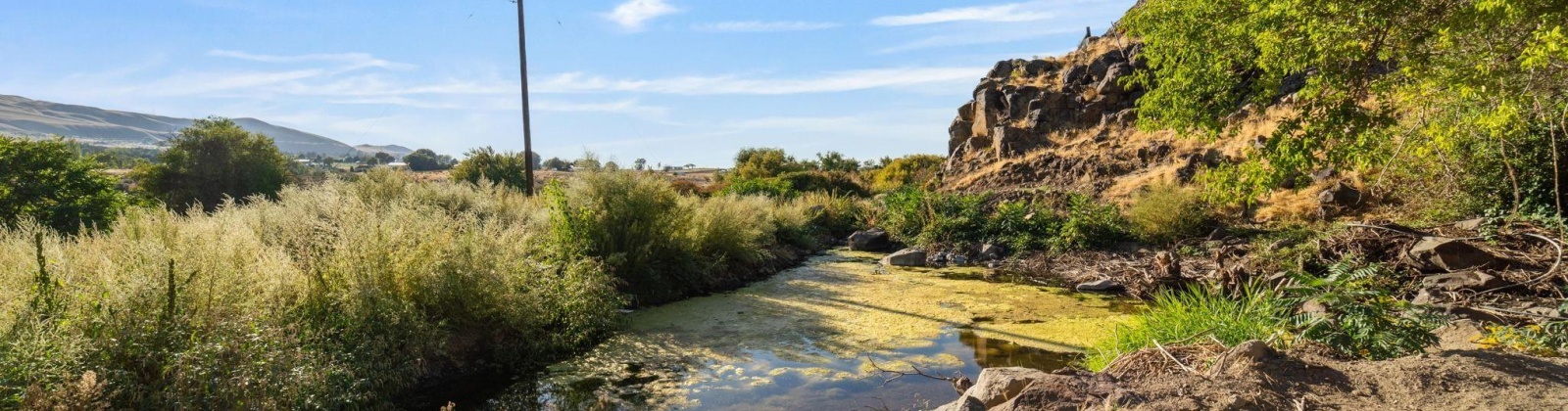 Kendall Rd NW, Benton City, Washington 99320, 0 , 0 ,0,Land/lots,For Sale,Kendall Rd NW,0,287583