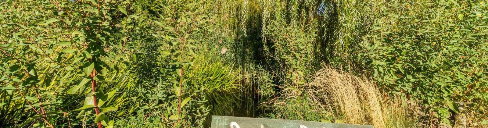 Kendall Rd NW, Benton City, Washington 99320, 0 , 0 ,0,Land/lots,For Sale,Kendall Rd NW,0,287583