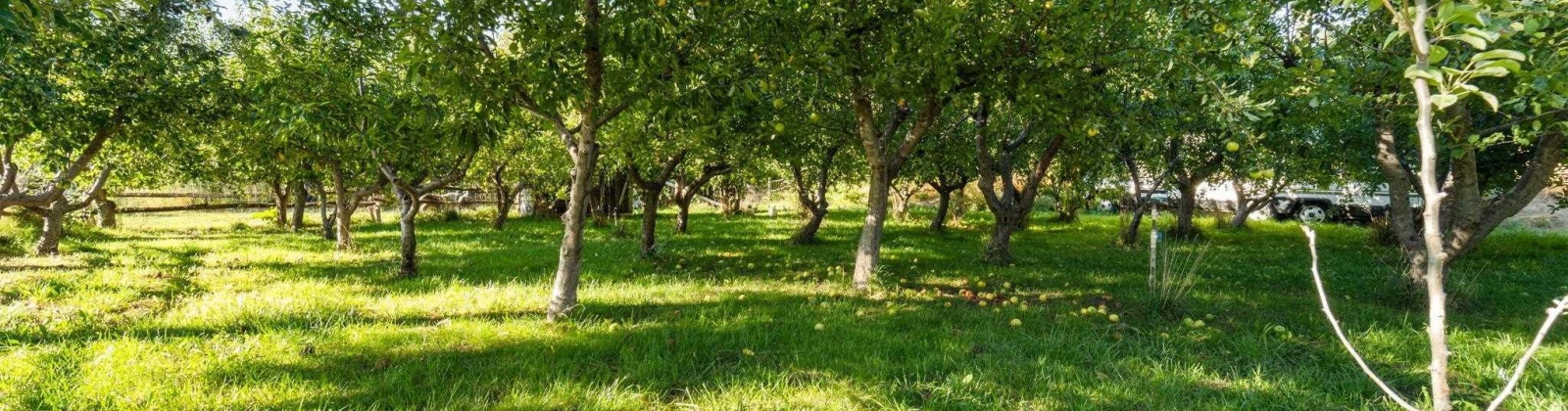 Kendall Rd NW, Benton City, Washington 99320, 0 , 0 ,0,Land/lots,For Sale,Kendall Rd NW,0,287583