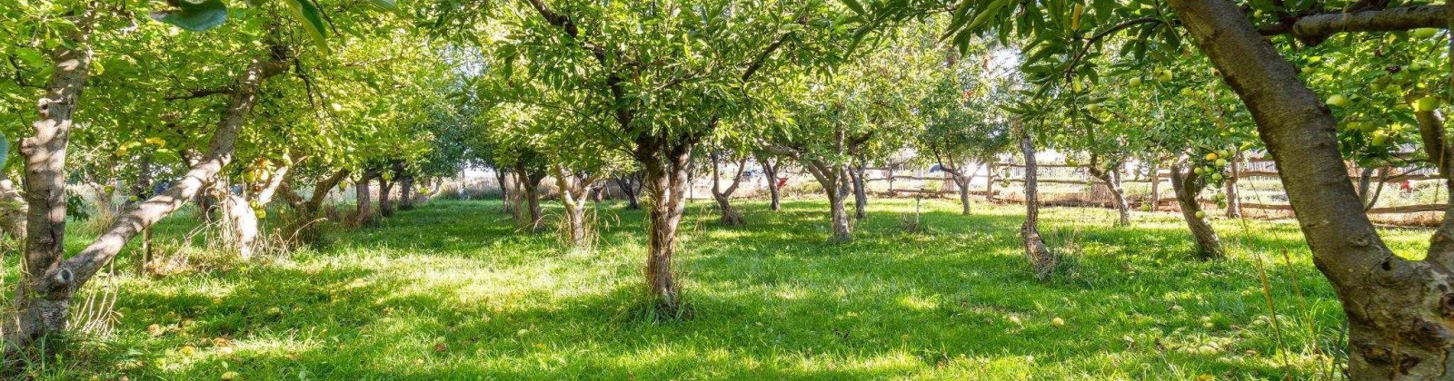 Kendall Rd NW, Benton City, Washington 99320, 0 , 0 ,0,Land/lots,For Sale,Kendall Rd NW,0,287583