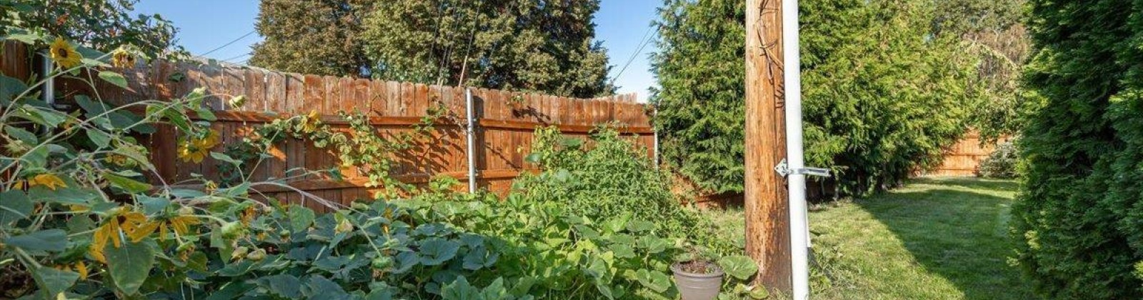 Wilson Street, Richland, Washington 99354, 3 Bedrooms Bedrooms, 0 ,1 BathroomBathrooms,Houses,For Sale,Wilson Street,0,287602