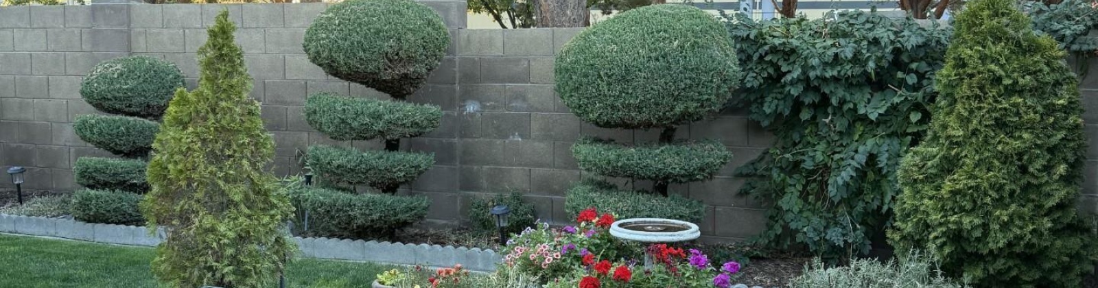 Neel Pl, Kennewick, Washington 99337, 3 Bedrooms Bedrooms, 0 ,2 BathroomsBathrooms,For Sale,Neel Pl,0,287608