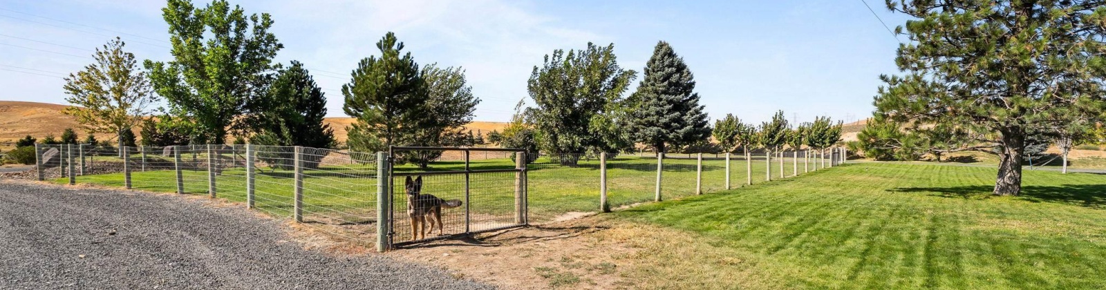 Olympia St, Kennewick, Washington 99337-4601, 4 Bedrooms Bedrooms, 0 ,3 BathroomsBathrooms,Houses,For Sale,Olympia St,0,287607