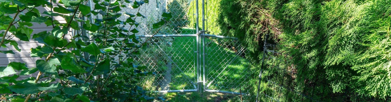 Waverly Street, Kennewick, Washington 99337, 3 Bedrooms Bedrooms, 0 ,2 BathroomsBathrooms,Houses,For Sale,Waverly Street,0,287605