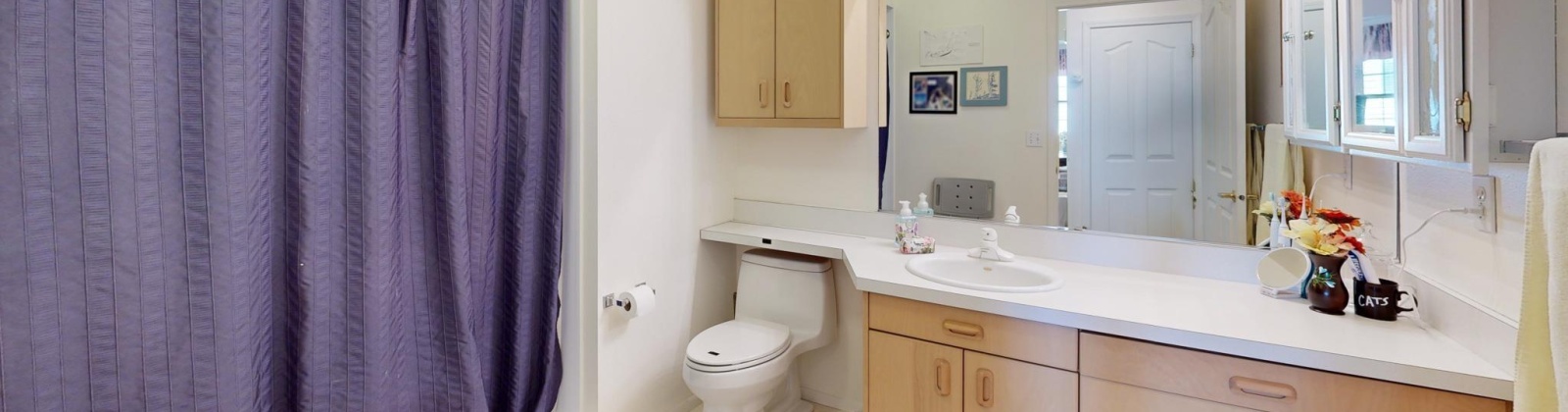 Fancy Free, Pullman, Washington 99163, 2 Bedrooms Bedrooms, 0 ,2 BathroomsBathrooms,Condos/townhomes,For Sale,Fancy Free,0,287517