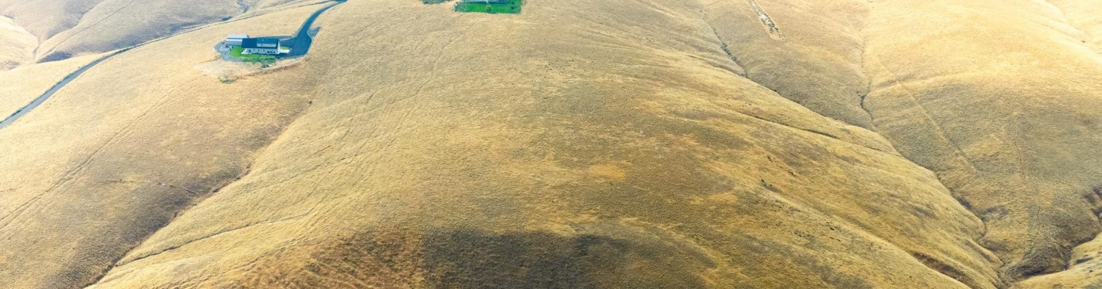 Ward Gap Rd, Prosser, Washington 99350, 0 , 0 ,0,Land/lots,For Sale,Ward Gap Rd,0,287633