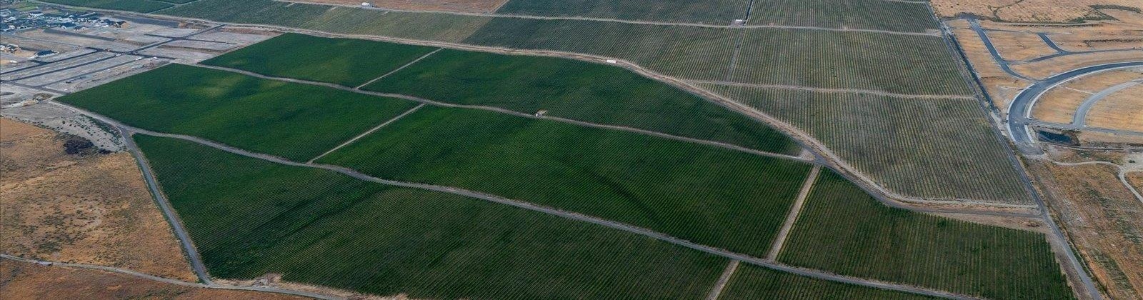 Goose Ridge Estates at Badger Mtn South, Richland, Washington 99352, 0 , 0 ,0,Land/lots,For Sale,Goose Ridge Estates at Badger Mtn South,0,287657