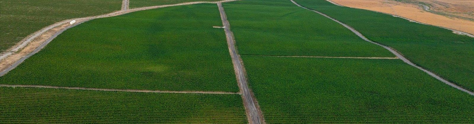 Goose Ridge Estates at Badger Mtn South, Richland, Washington 99352, 0 , 0 ,0,Land/lots,For Sale,Goose Ridge Estates at Badger Mtn South,0,287657