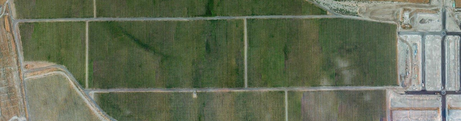 Goose Ridge Estates at Badger Mtn South, Richland, Washington 99352, 0 , 0 ,0,Land/lots,For Sale,Goose Ridge Estates at Badger Mtn South,0,287657