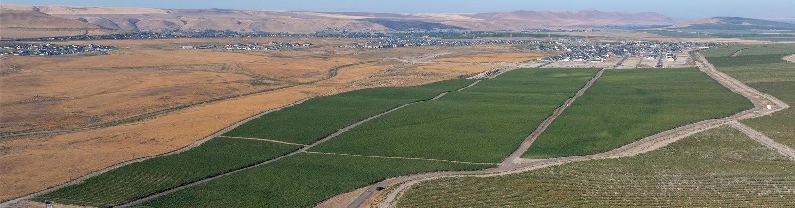 Goose Ridge Estates at Badger Mtn South, Richland, Washington 99352, 0 , 0 ,0,Land/lots,For Sale,Goose Ridge Estates at Badger Mtn South,0,287657