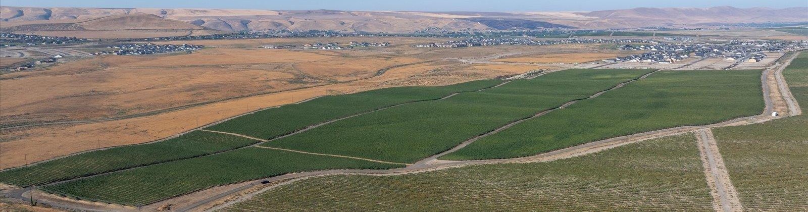 Goose Ridge Estates at Badger Mtn South, Richland, Washington 99352, 0 , 0 ,0,Land/lots,For Sale,Goose Ridge Estates at Badger Mtn South,0,287657