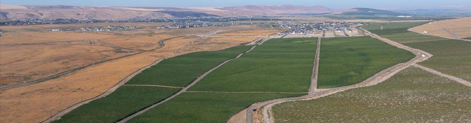 Goose Ridge Estates at Badger Mtn South, Richland, Washington 99352, 0 , 0 ,0,Land/lots,For Sale,Goose Ridge Estates at Badger Mtn South,0,287657