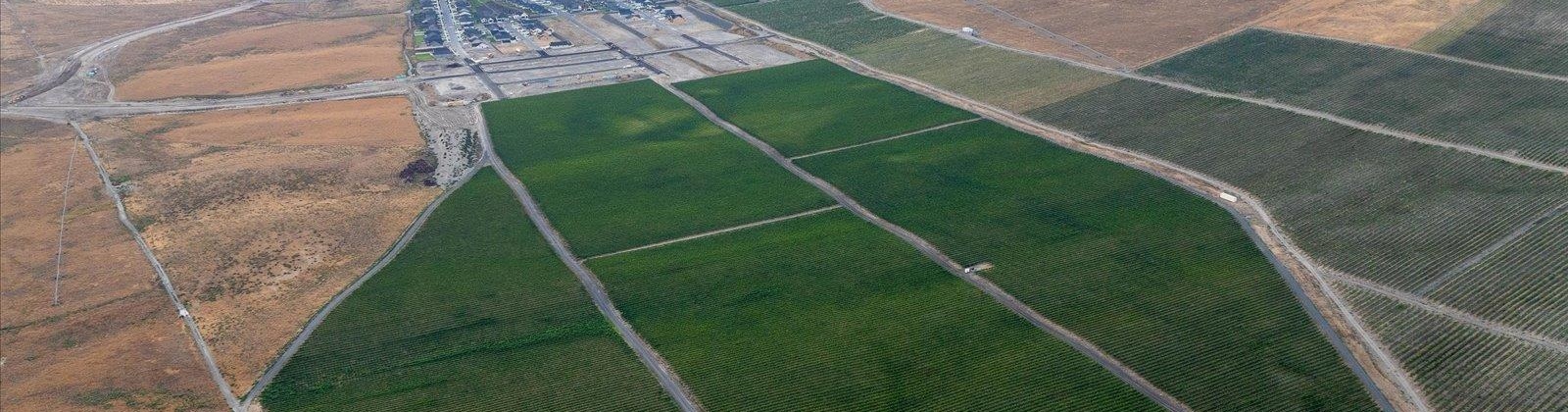 Goose Ridge Estates at Badger Mtn South, Richland, Washington 99352, 0 , 0 ,0,Land/lots,For Sale,Goose Ridge Estates at Badger Mtn South,0,287657