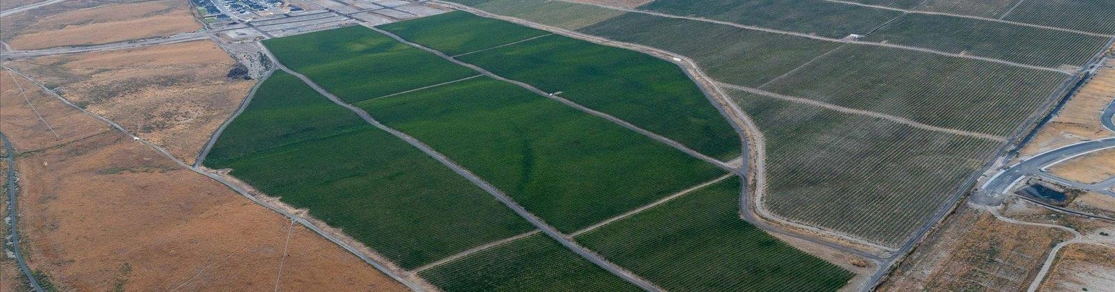 Goose Ridge Estates at Badger Mtn South, Richland, Washington 99352, 0 , 0 ,0,Land/lots,For Sale,Goose Ridge Estates at Badger Mtn South,0,287657