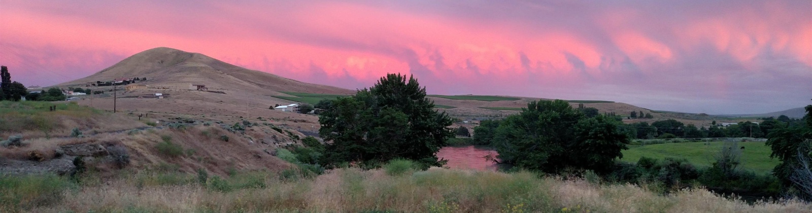 Demoss, West Richland, Washington 99320, 0 , 0 ,0,Land/lots,For Sale,Demoss,0,287647