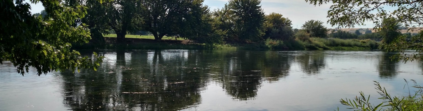 Demoss, West Richland, Washington 99320, 0 , 0 ,0,Land/lots,For Sale,Demoss,0,287647