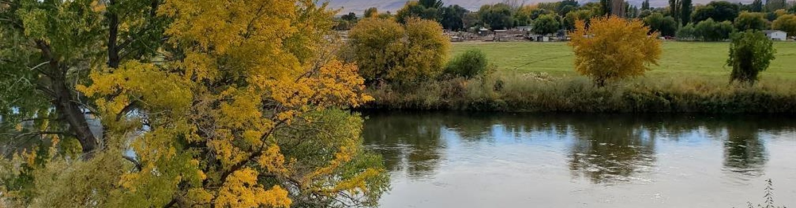 Demoss, West Richland, Washington 99320, 0 , 0 ,0,Land/lots,For Sale,Demoss,0,287647