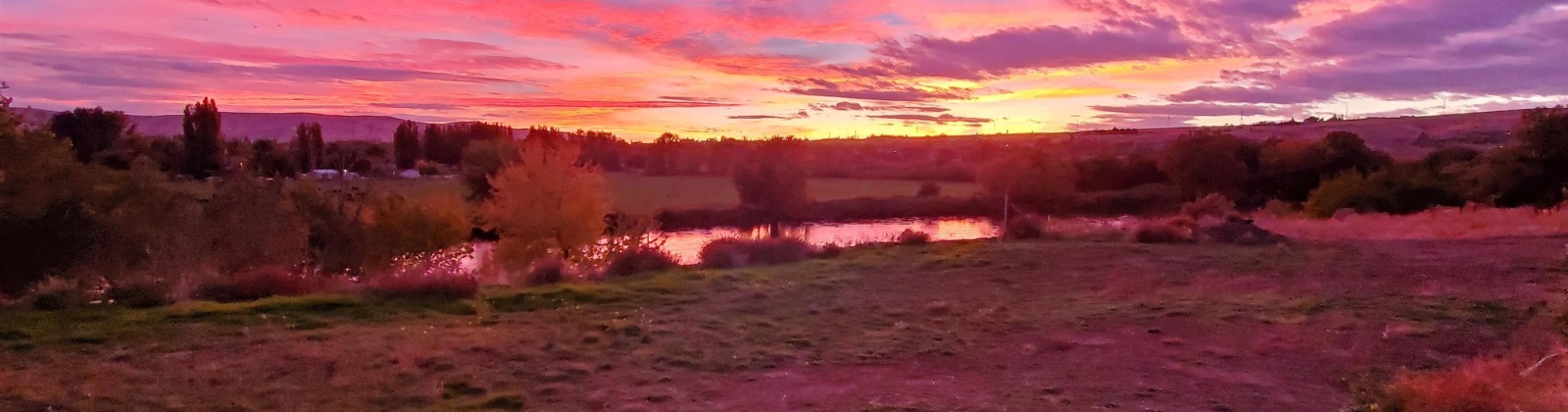 Demoss, West Richland, Washington 99320, 0 , 0 ,0,Land/lots,For Sale,Demoss,0,287647