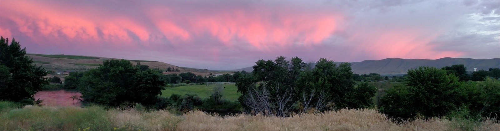 Demoss, West Richland, Washington 99320, 0 , 0 ,0,Land/lots,For Sale,Demoss,0,287647