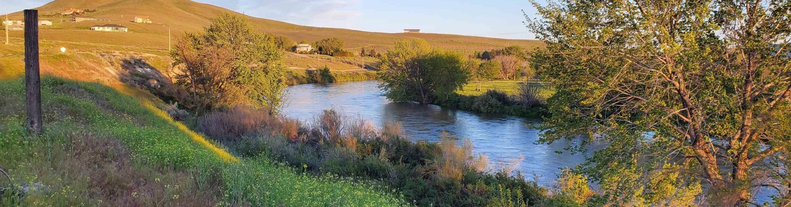 Demoss, West Richland, Washington 99320, 0 , 0 ,0,Land/lots,For Sale,Demoss,0,287647