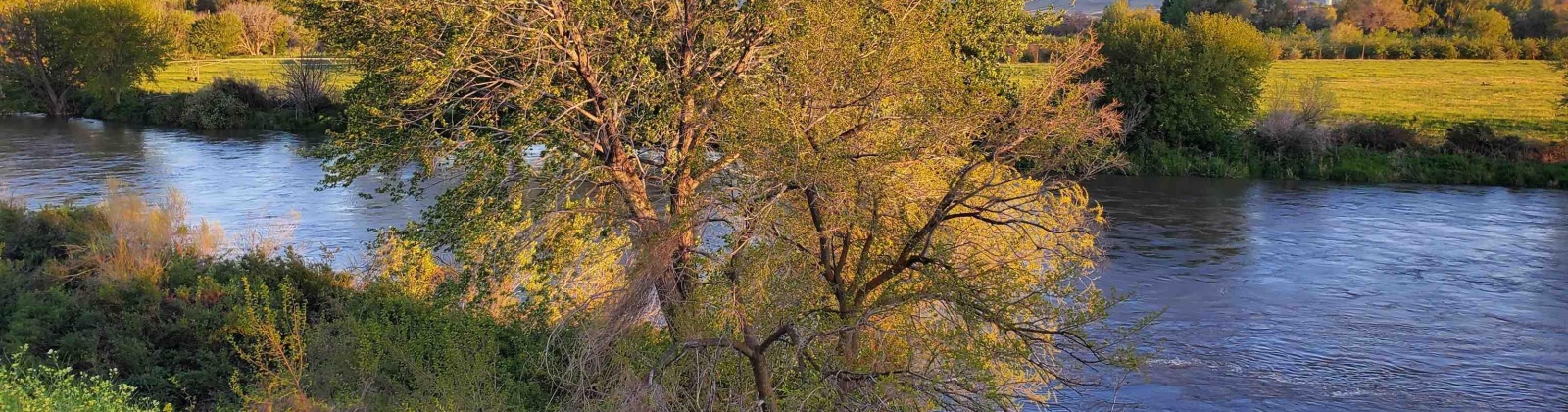 Demoss, West Richland, Washington 99320, 0 , 0 ,0,Land/lots,For Sale,Demoss,0,287647