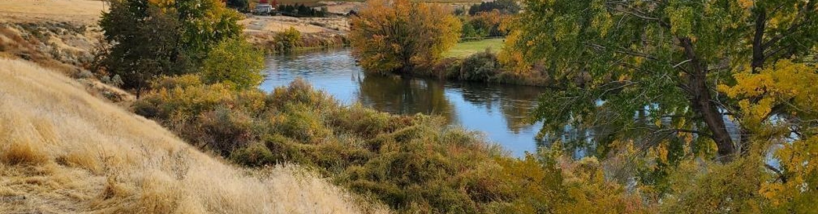 Demoss, West Richland, Washington 99320, 0 , 0 ,0,Land/lots,For Sale,Demoss,0,287647