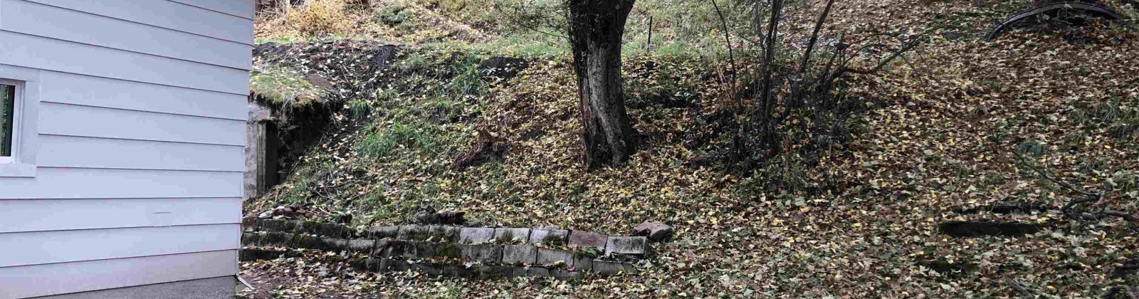 James St, Colfax, Washington 99111, 4 Bedrooms Bedrooms, 0 ,2 BathroomsBathrooms,Houses,For Sale,James St,0,287706