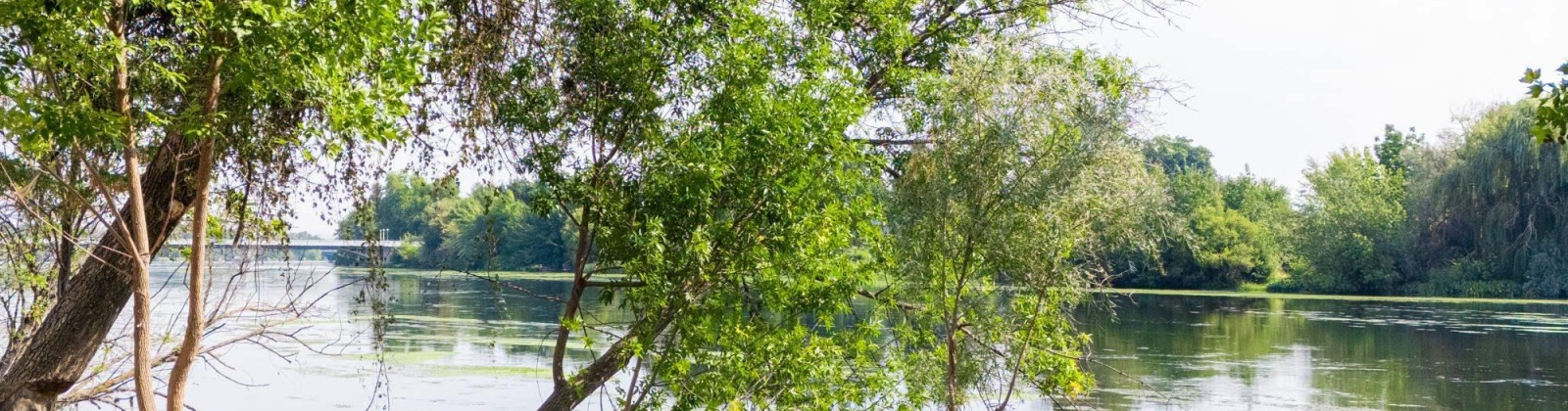 1366 PrSW, Prosser, Washington 99350, 0 , 0 ,0,Land/lots,For Sale,1366 PrSW,0,287720