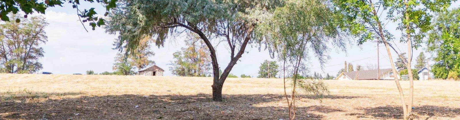 1366 PrSW, Prosser, Washington 99350, 0 , 0 ,0,Land/lots,For Sale,1366 PrSW,0,287720