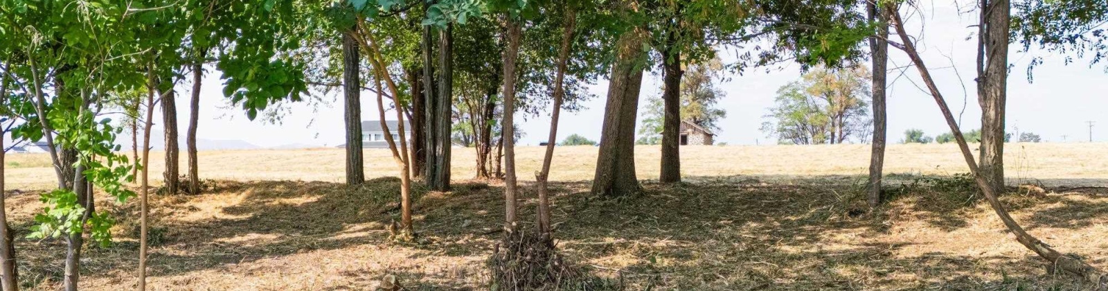 1366 PrSW, Prosser, Washington 99350, 0 , 0 ,0,Land/lots,For Sale,1366 PrSW,0,287720