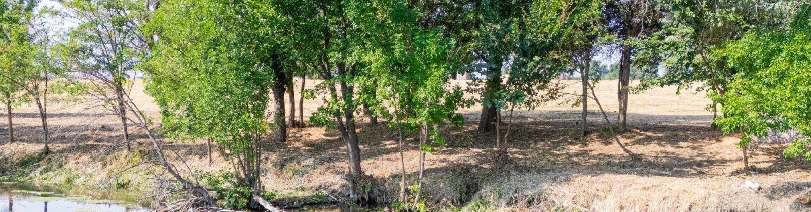 1366 PrSW, Prosser, Washington 99350, 0 , 0 ,0,Land/lots,For Sale,1366 PrSW,0,287720