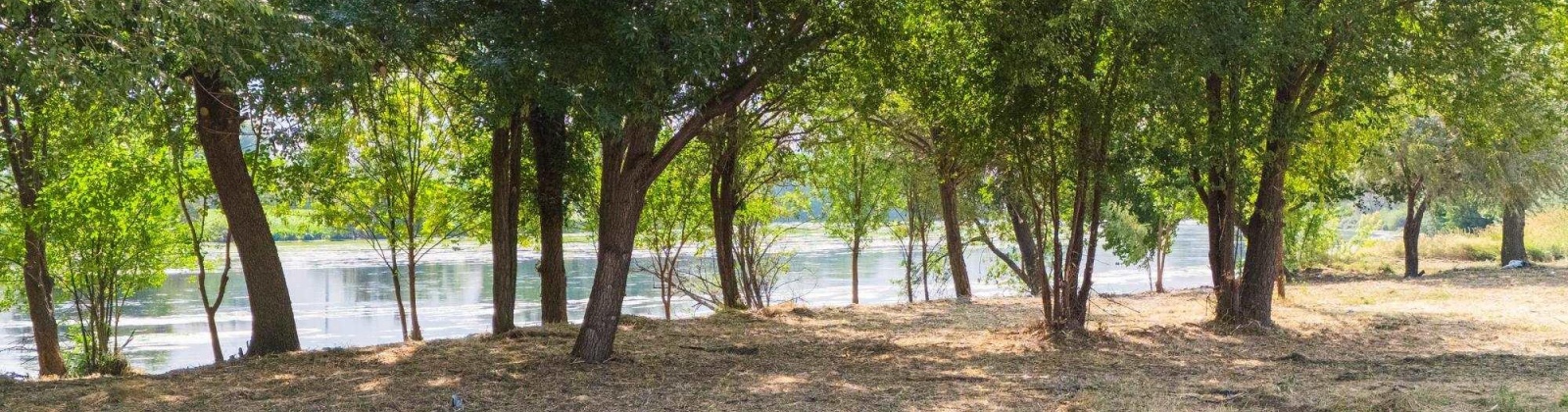 1366 PrSW, Prosser, Washington 99350, 0 , 0 ,0,Land/lots,For Sale,1366 PrSW,0,287719