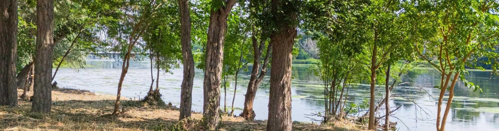 1366 PrSW, Prosser, Washington 99350, 0 , 0 ,0,Land/lots,For Sale,1366 PrSW,0,287719