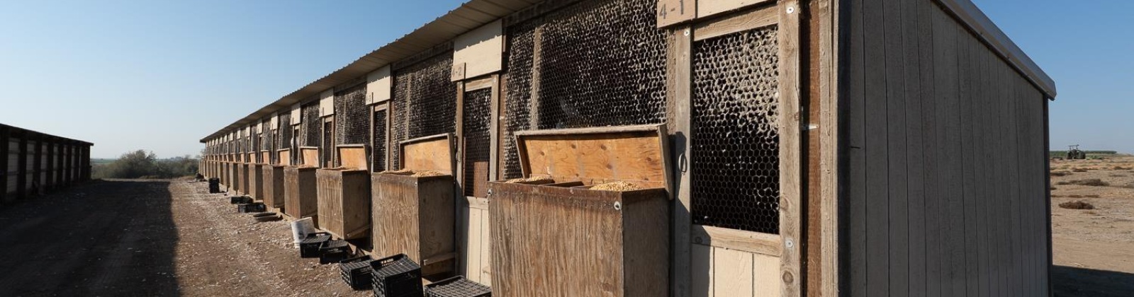 Sheffield Road, Mesa, Washington 99343, 4 Bedrooms Bedrooms, 0 ,3 BathroomsBathrooms,Houses,For Sale,Sheffield Road,0,287712