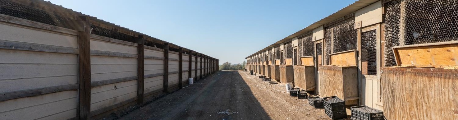 Sheffield Road, Mesa, Washington 99343, 4 Bedrooms Bedrooms, 0 ,3 BathroomsBathrooms,Houses,For Sale,Sheffield Road,0,287712