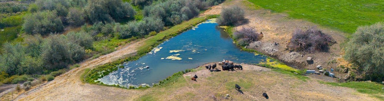 Sheffield Road, Mesa, Washington 99343, 4 Bedrooms Bedrooms, 0 ,3 BathroomsBathrooms,Houses,For Sale,Sheffield Road,0,287712