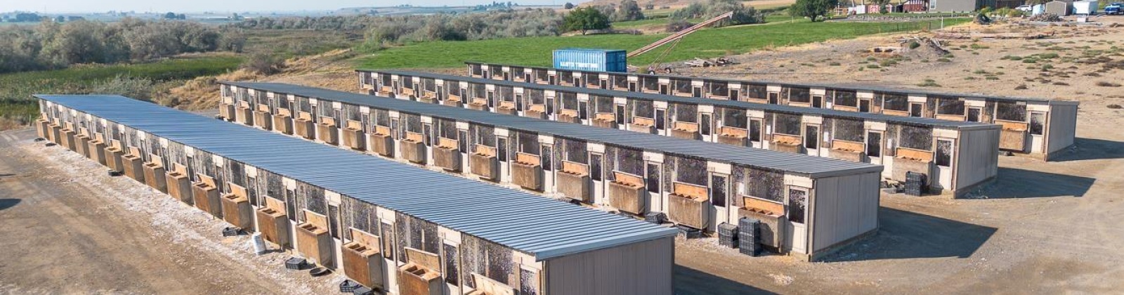 Sheffield Road, Mesa, Washington 99343, 4 Bedrooms Bedrooms, 0 ,3 BathroomsBathrooms,Houses,For Sale,Sheffield Road,0,287712