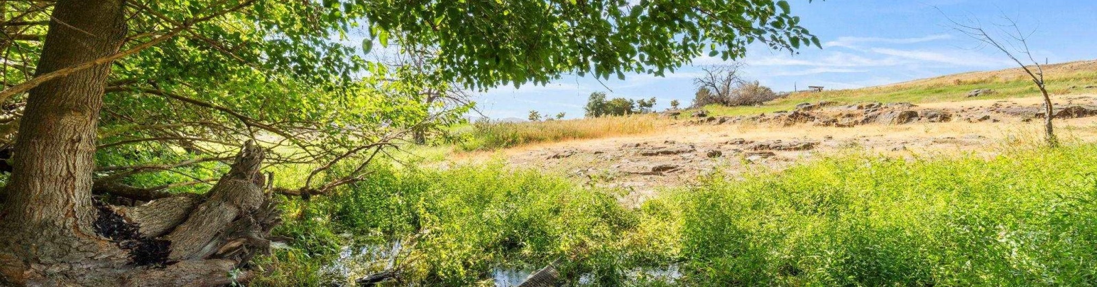 Beers Rd., Prosser, Washington 99350, 0 , 0 ,0,Land/lots,For Sale,Beers Rd.,0,287732