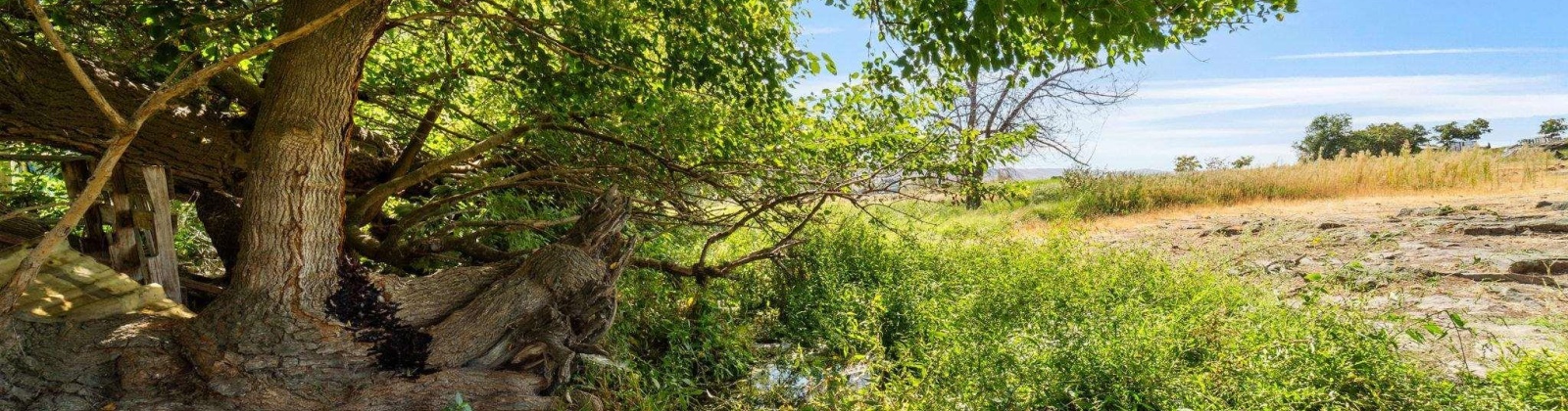 Beers Rd., Prosser, Washington 99350, 0 , 0 ,0,Land/lots,For Sale,Beers Rd.,0,287732