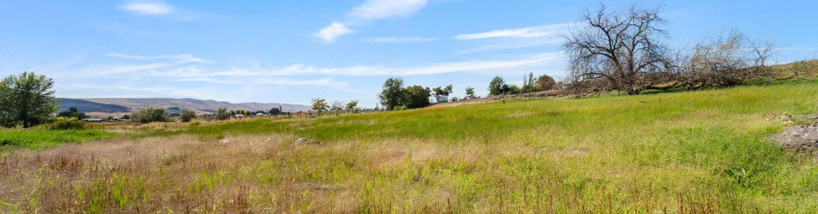 Beers Rd., Prosser, Washington 99350, 0 , 0 ,0,Land/lots,For Sale,Beers Rd.,0,287732
