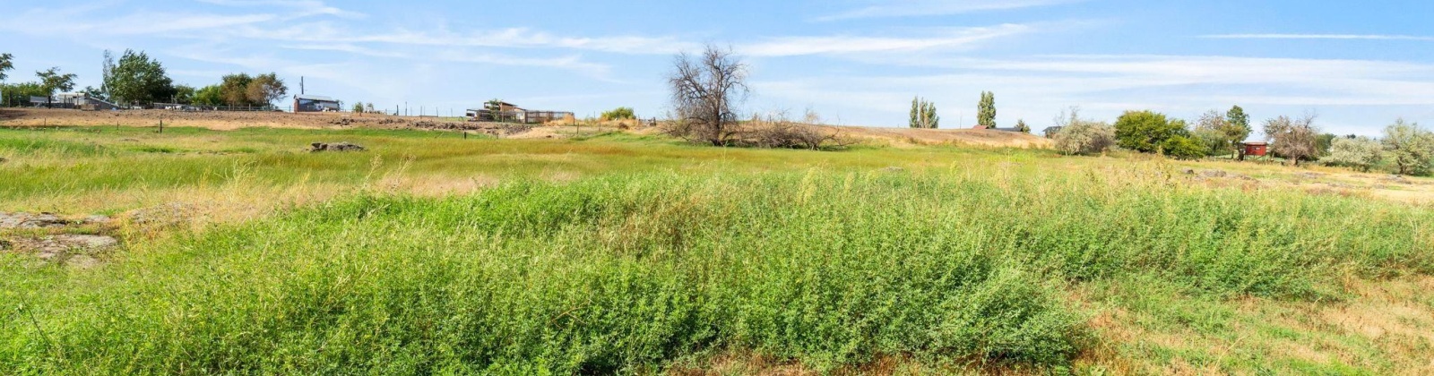 Beers Rd., Prosser, Washington 99350, 0 , 0 ,0,Land/lots,For Sale,Beers Rd.,0,287732