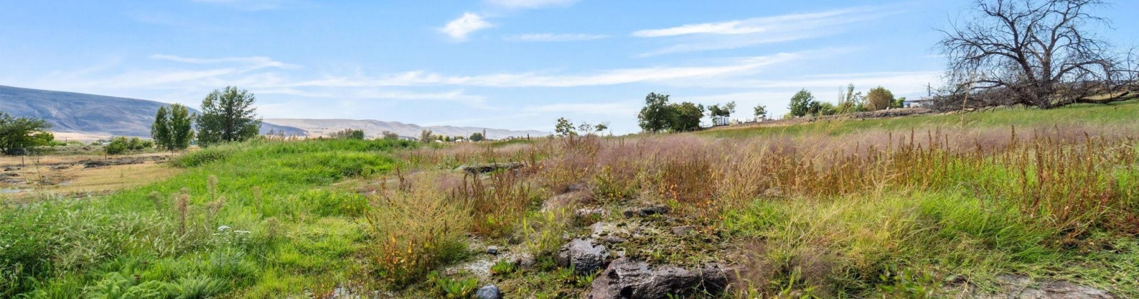 Beers Rd., Prosser, Washington 99350, 0 , 0 ,0,Land/lots,For Sale,Beers Rd.,0,287732