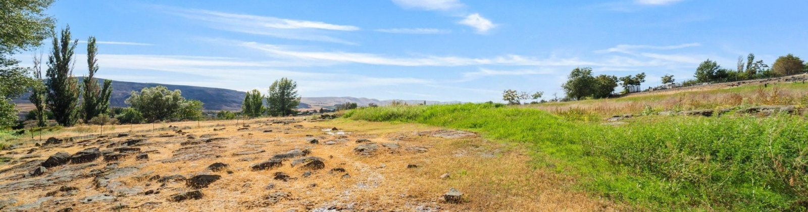 Beers Rd., Prosser, Washington 99350, 0 , 0 ,0,Land/lots,For Sale,Beers Rd.,0,287732