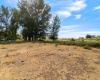 Beers Rd., Prosser, Washington 99350, 0 , 0 ,0,Land/lots,For Sale,Beers Rd.,0,287732