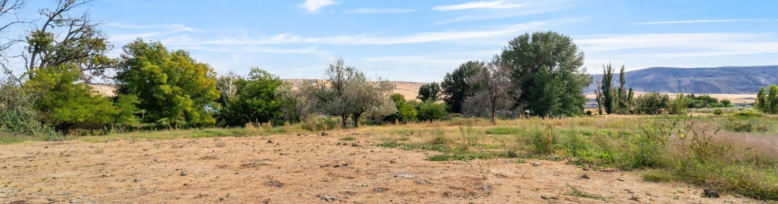 Beers Rd., Prosser, Washington 99350, 0 , 0 ,0,Land/lots,For Sale,Beers Rd.,0,287732