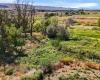 Beers Rd., Prosser, Washington 99350, 0 , 0 ,0,Land/lots,For Sale,Beers Rd.,0,287732