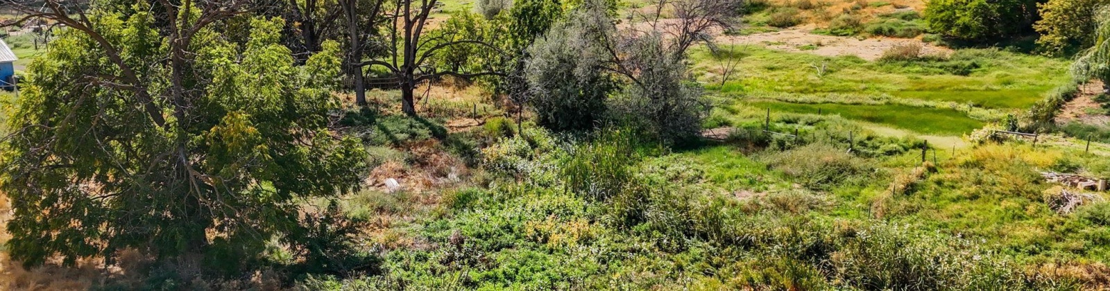 Beers Rd., Prosser, Washington 99350, 0 , 0 ,0,Land/lots,For Sale,Beers Rd.,0,287732