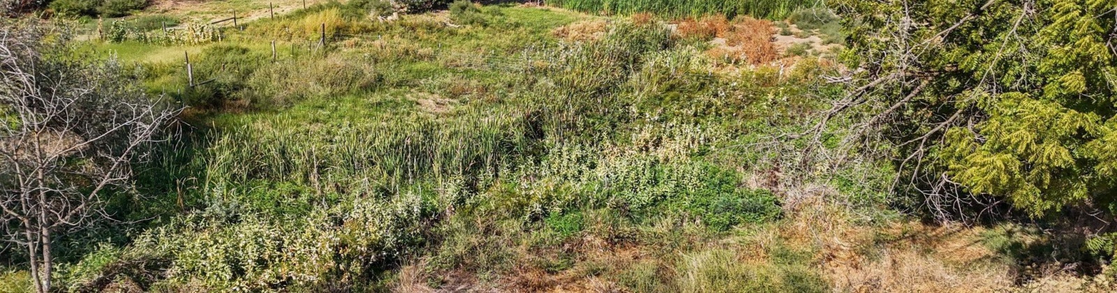 Beers Rd., Prosser, Washington 99350, 0 , 0 ,0,Land/lots,For Sale,Beers Rd.,0,287732