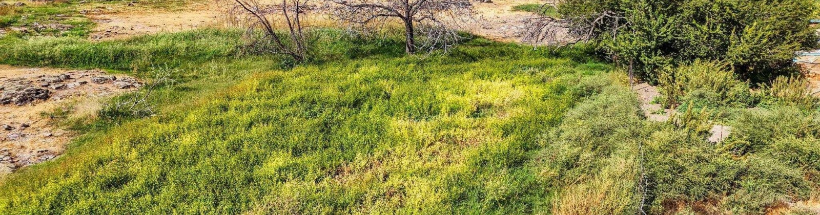 Beers Rd., Prosser, Washington 99350, 0 , 0 ,0,Land/lots,For Sale,Beers Rd.,0,287732